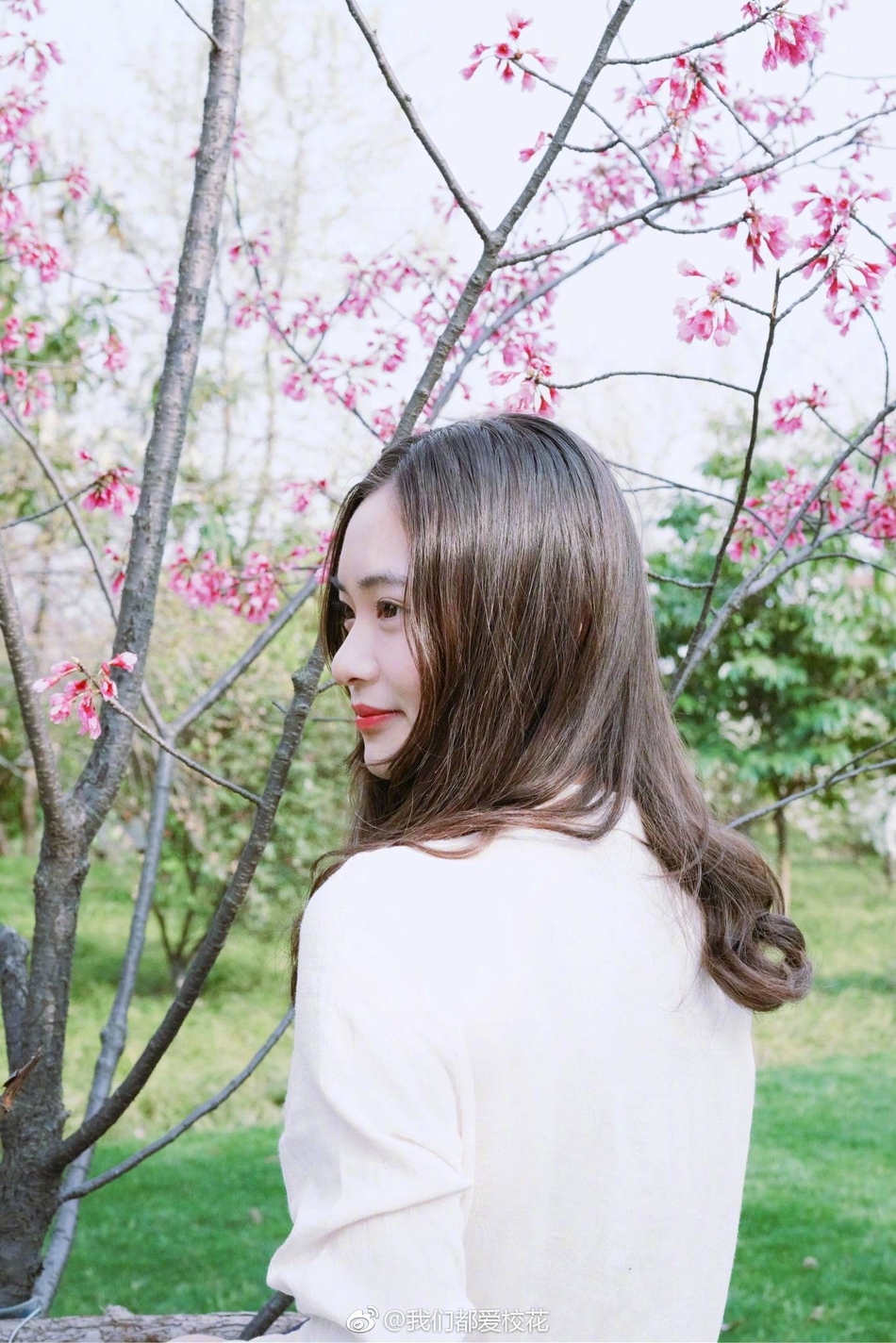 橙橙橙紫壁纸 0L2R-fztkpip0297120.jpg