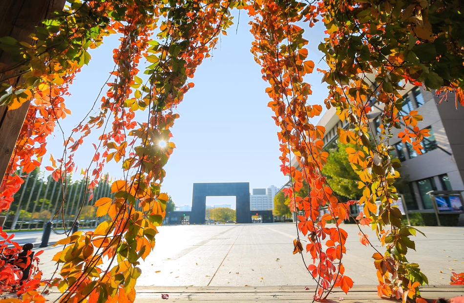 巴西10号球员-乐鱼app(leyu)官方网站-乐鱼官网