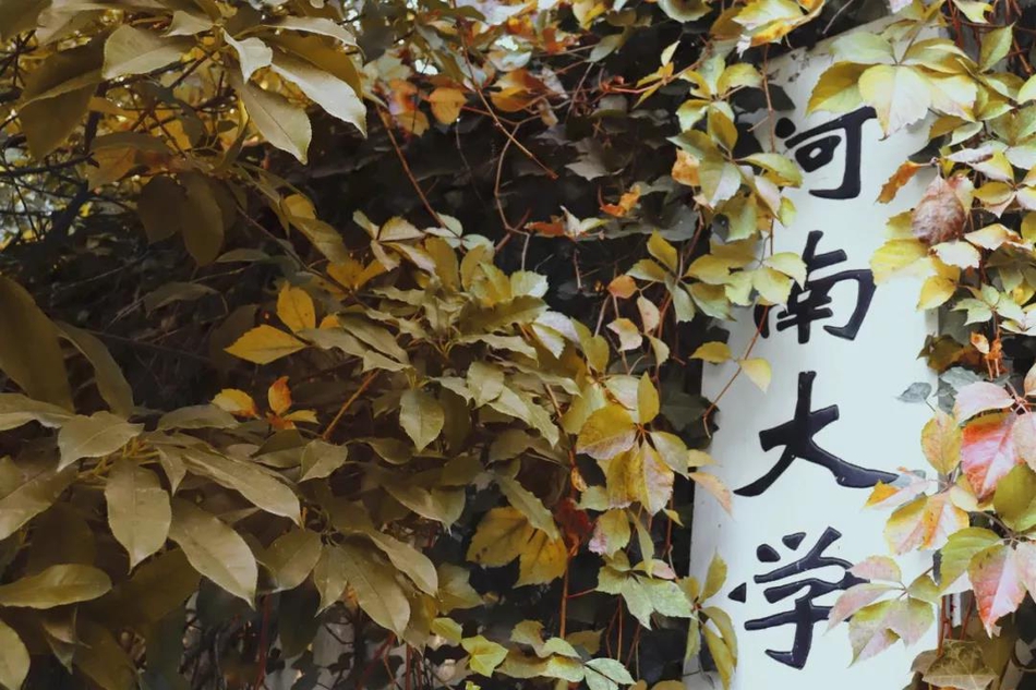 德甲球队分布图-爱游戏(ayx)官网网站_ayx.com