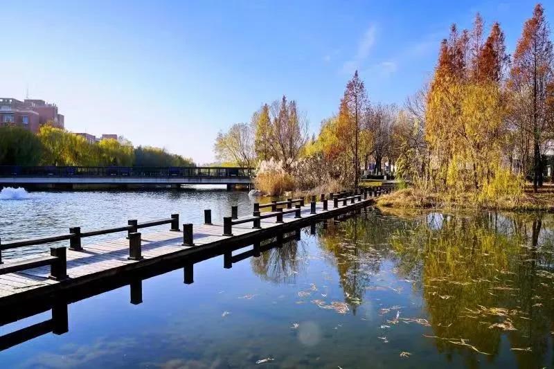 组图:大学秋色-郑州大学的小楼香径 湖光山色
