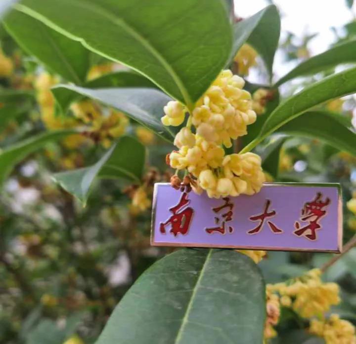 sopcast 频道-乐鱼app(leyu)官方网站-乐鱼官网