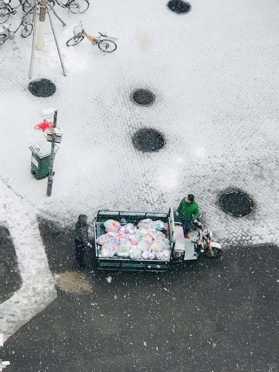 雪什么送什么的成语_雪菜是什么菜图片