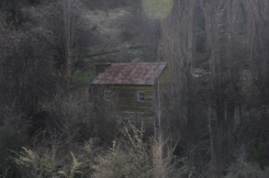 路上還有當年淘金人住的小屋，非常簡陋，廁所基本上離房子二里地，如果肚子有問題就麻煩了。