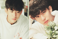 同济校花置身麦田神情陶醉