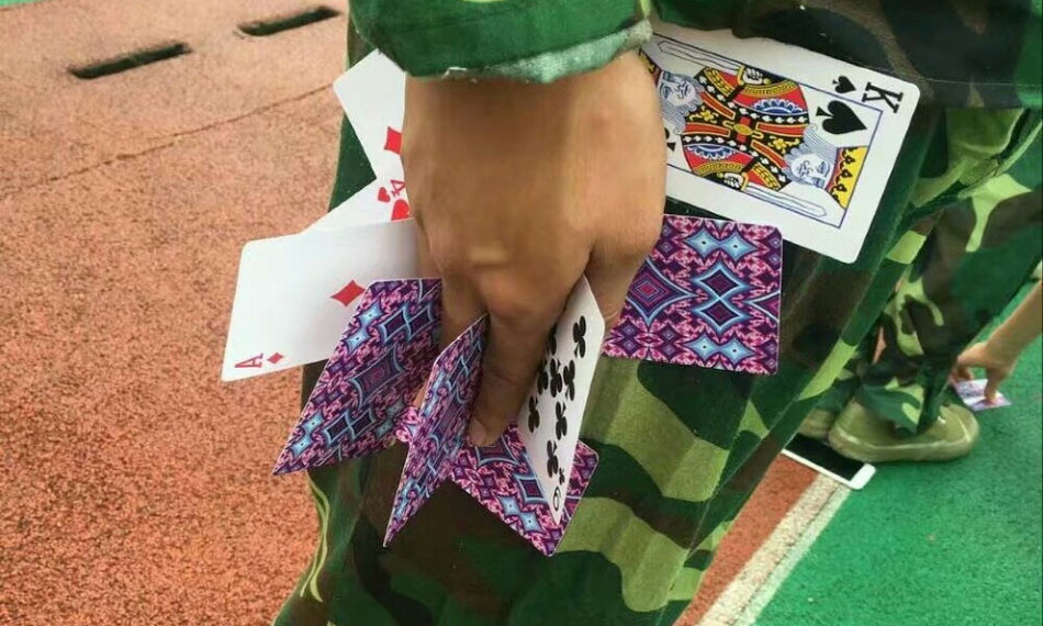 新生变身卡牌大师
