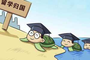 工作中小语种如何变大优势：正视局限精益求精