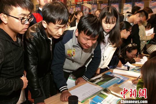 图为青海高校应届毕业生争相向用人单位推荐自己。　张添福 摄