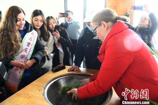 图为外籍留学生体验制茶过程。　陈超 摄