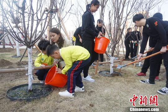 沈阳市第七中学师生共同植树。 李晛 摄