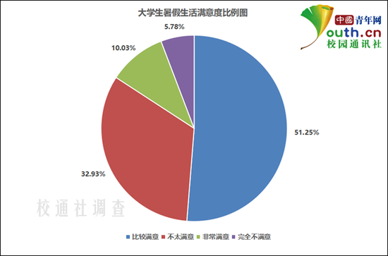 图为大学生暑假生活满意度比例。中国青年网记者 李华锡 制图