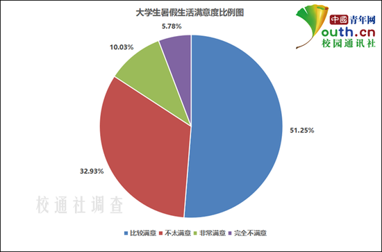 图为大学生暑假生活满意度比例。中国青年网记者 李华锡 制图 