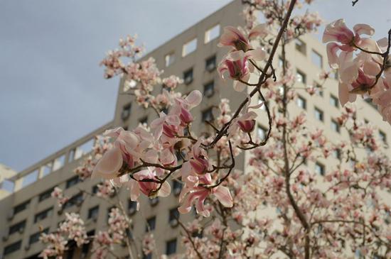 对外经贸大学 田天洋/摄