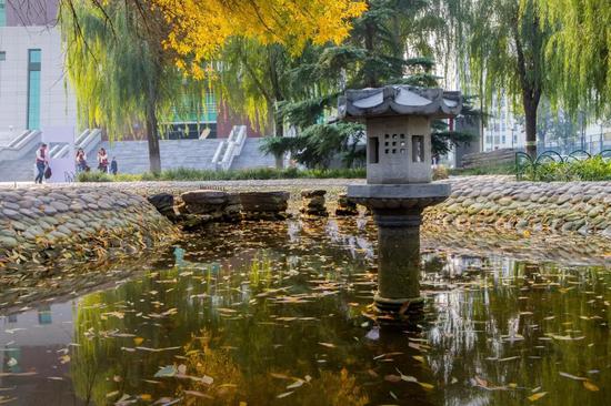 一勺池水 秋波粼粼