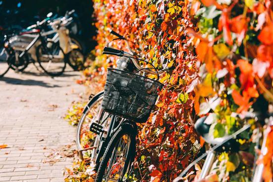 隔断红尘三十里 白云红叶两悠悠