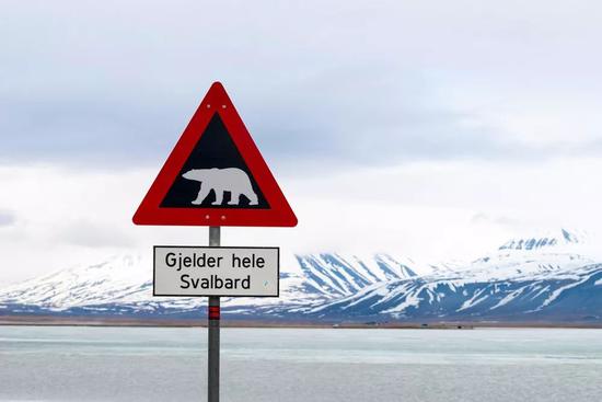 Polar bear warning sign 小心北极熊