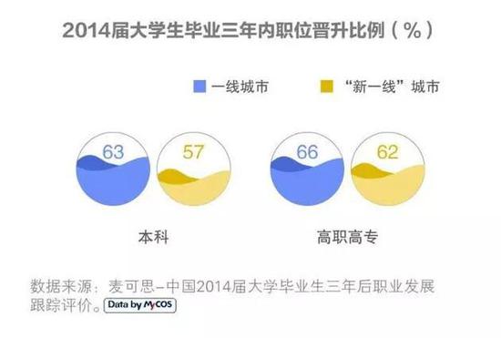 IT/互联网行业最受欢迎