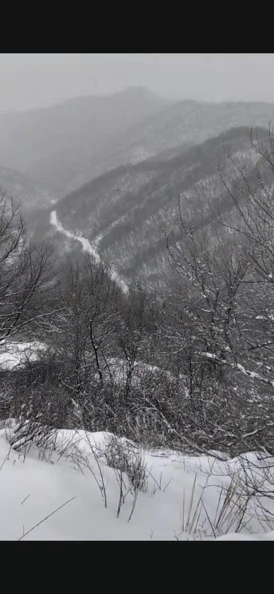 被雪覆盖的大山。受访者供图