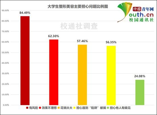 图为大学生整形美容主要担心问题比例。中国青年网记者李华锡 制图