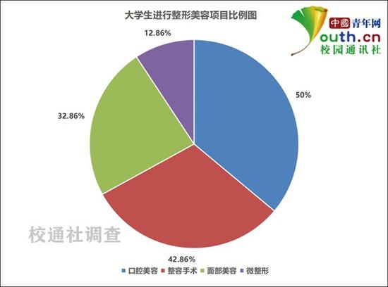 图为大学生进行整形美容项目比例。中国青年网记者李华锡 制图