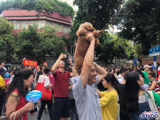 在七中考点门口,严先生和妻子带着家里的宠物犬来到现场。广报全媒体记者张丹羊