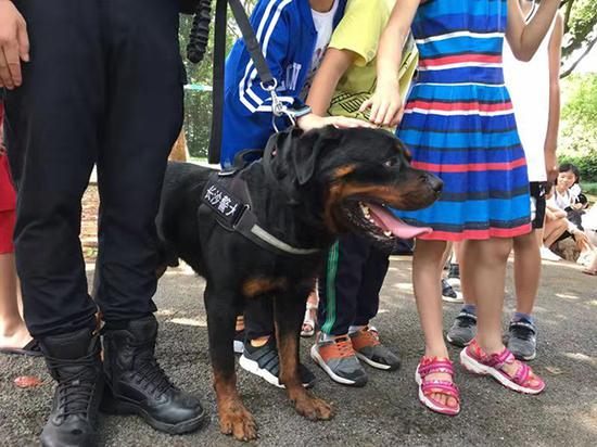 孩子们排队抚摸警犬。湖南省公安厅供图