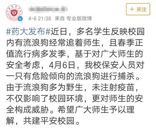 广东一大学生在校养猪被批评:宿舍能否养宠物?