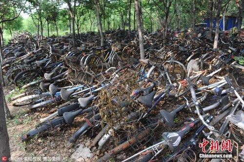 济南一高校现自行车“坟场” 数千辆自行车堆积成山