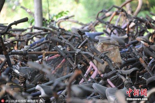 济南一高校现自行车“坟场” 数千辆自行车堆积成山