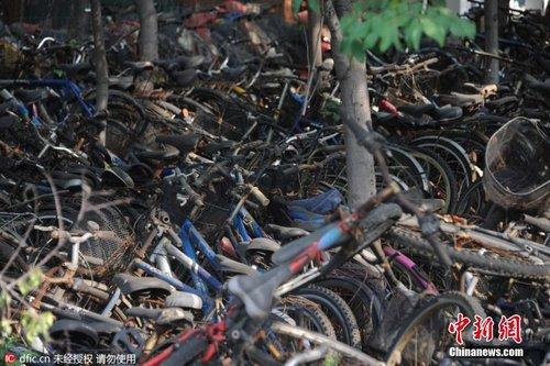 济南一高校现自行车“坟场” 数千辆自行车堆积成山