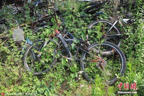 济南一高校现自行车“坟场” 数千辆自行车堆积成山