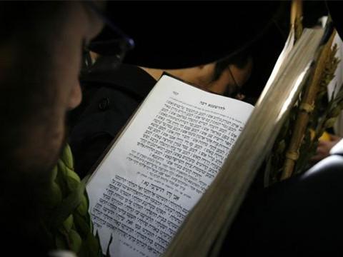 少儿双语:那些常见的英语修辞你都会吗?|修辞|