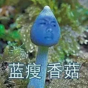  这大概是今年最火的一个词了！“蓝瘦香菇”来源于广西的方言，意思是普通话的“难受，想哭”。（戳我看蓝瘦香菇的梗）表情包