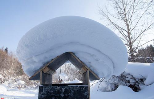 雪景