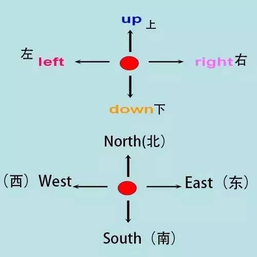 小学阶段英语单词分类学习大全 好学易记|小学