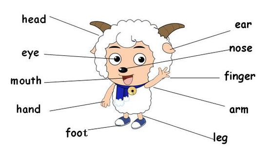 小学阶段英语单词分类学习大全 好学易记|小学