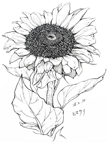 当代青年 空心病 他们不知道为什么活下去 高考 青年 价值观 新浪教育 新浪网