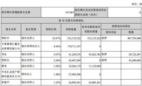 贾跃亭:持股25.67%仍为乐视网第一大股东|乐视