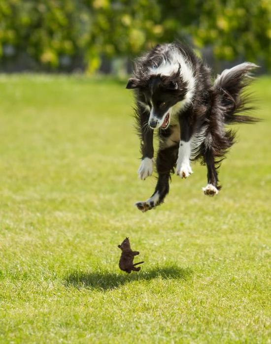 You Said We Were Going To The Park. Liar!