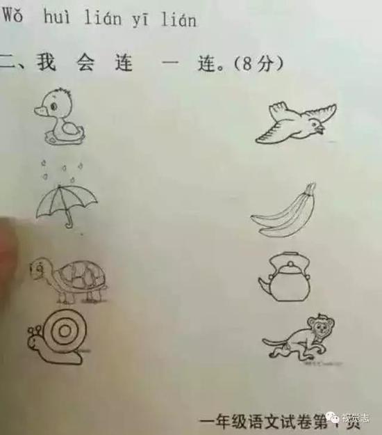 左边：鸭子、雨伞、乌龟、蜗牛