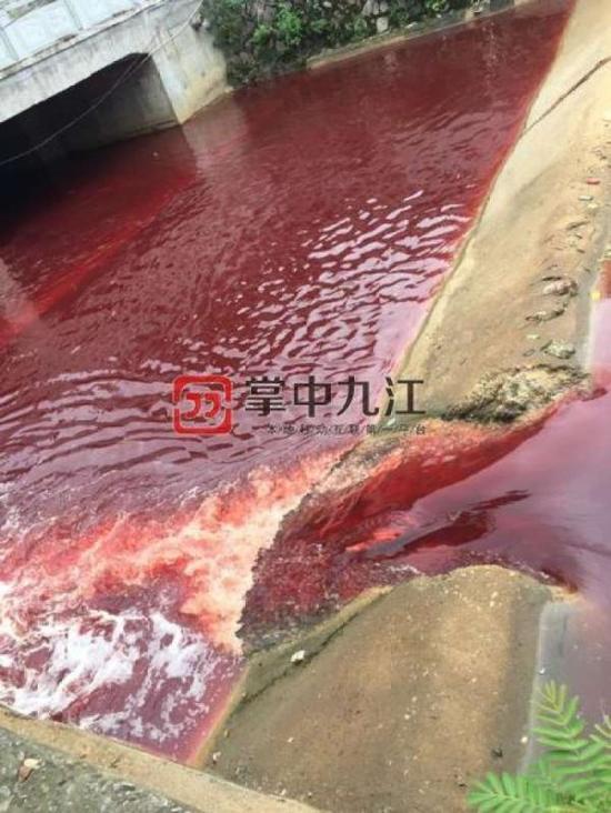 截至下午1时许,已停止排放污水,被染红的河水也逐渐稀释。(原题为《九江学院门前河水"红如血" 系上游杀猪场排放污水》)