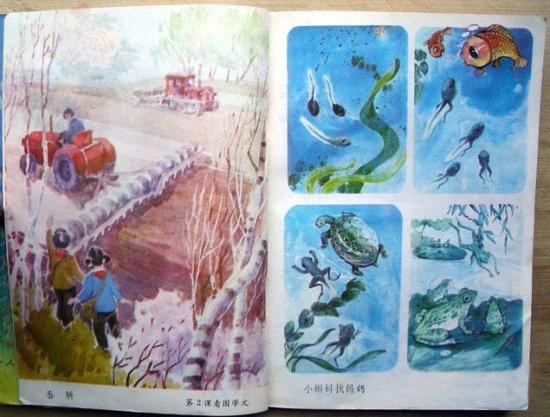 还记得这篇乌鸦喝水的课文,