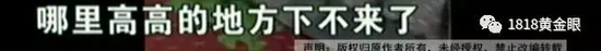 视频截图