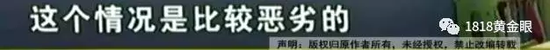 视频截图