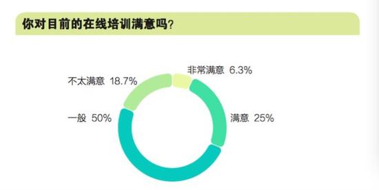 《2019校外培训机构发展与治理报告》截图