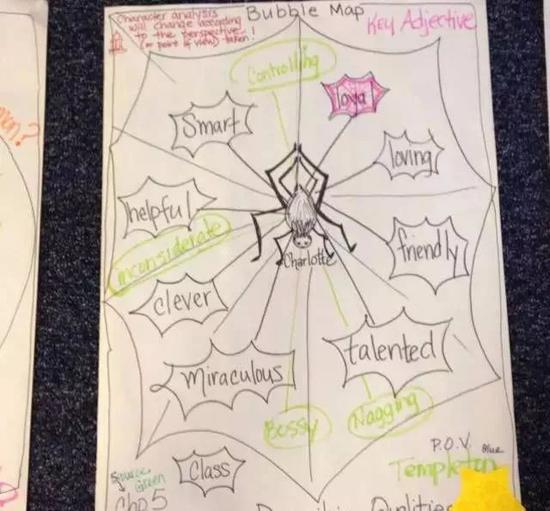 3. Double Bubble Maps - Comparing & Contrasting