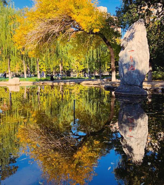 池水明如镜 照谁枯荣影