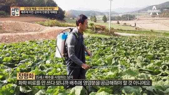 张平和在地里喷洒农药（韩媒Channel A截图）