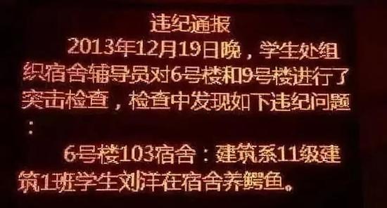 广东一大学生在校养猪被批评:宿舍能否养宠物?