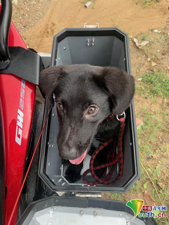 周浩带着爱犬骑行,爱犬被放在摩托车左侧的箱子里。本人供图