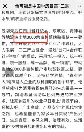 3000亩的“魏柑”？八卦心正浓的分析君突然算了笔帐：